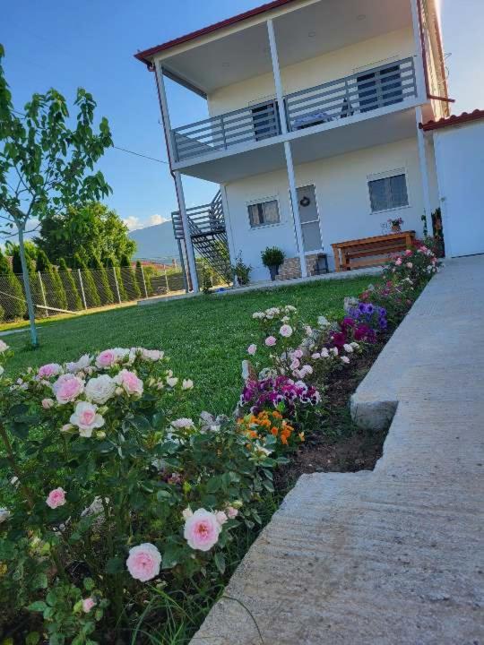Countryside Apartments First Floor ตริกาลา ภายนอก รูปภาพ